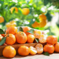 The Journey to Fluency: How Long Does it Take to Complete a Mandarin Course Near Me?