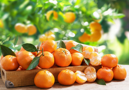 The Journey to Fluency: How Long Does it Take to Complete a Mandarin Course Near Me?